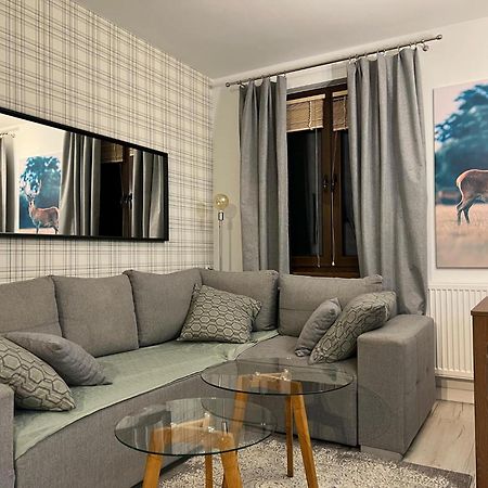 Apartament Dziki Rogacz Шчавница Екстериор снимка