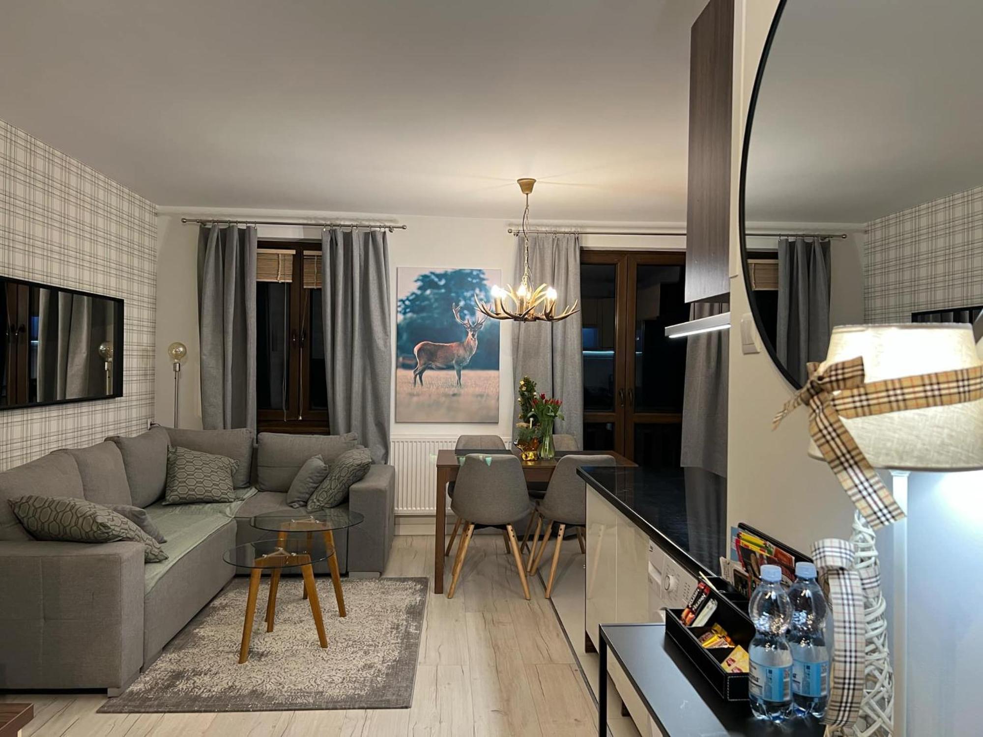 Apartament Dziki Rogacz Шчавница Екстериор снимка