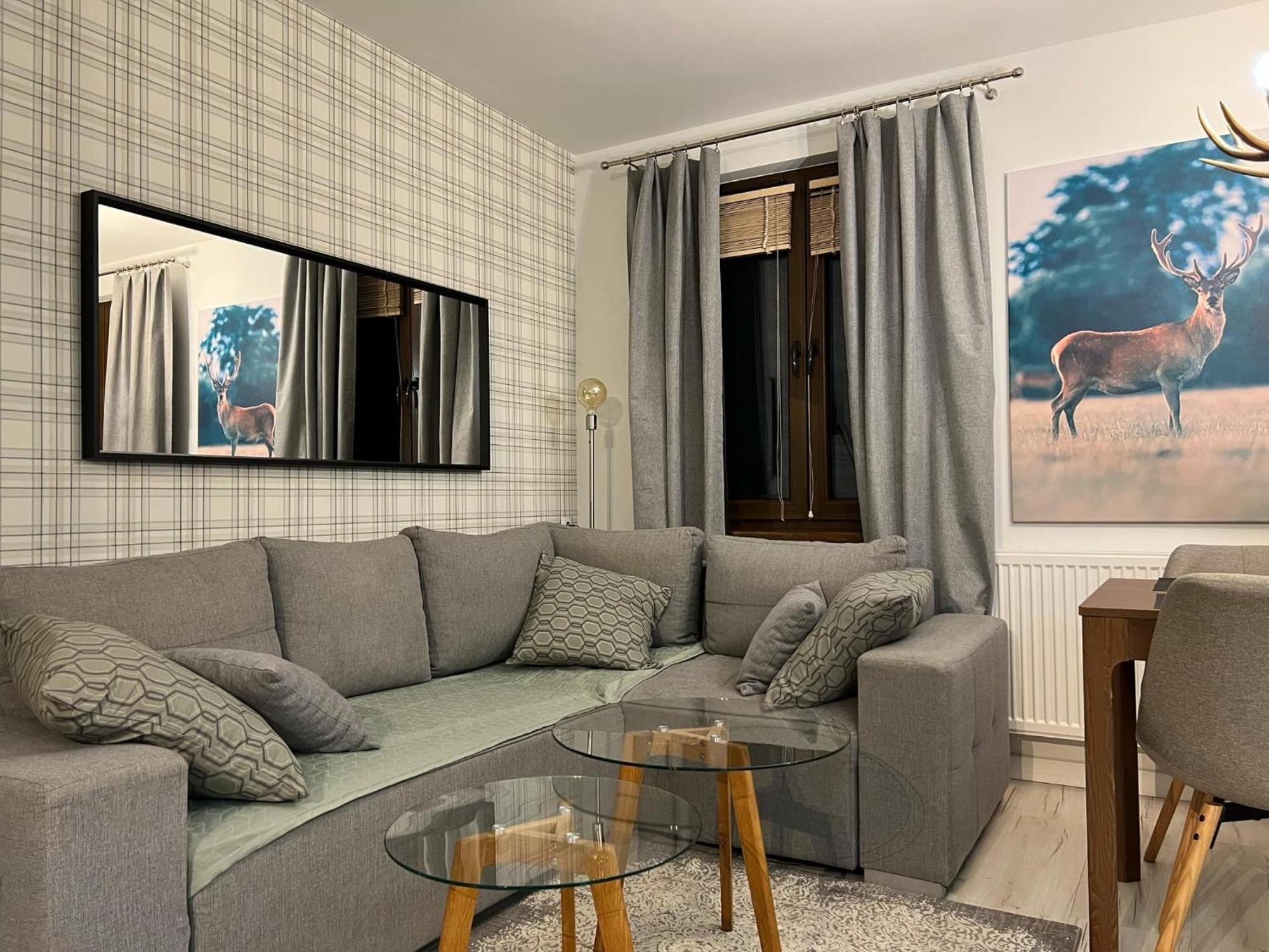 Apartament Dziki Rogacz Шчавница Екстериор снимка